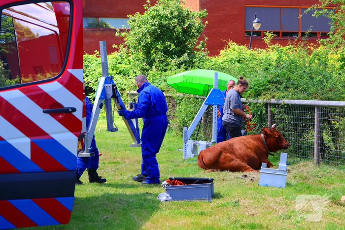 Dierenredding trekt veel bekijks op natuurboerderij
