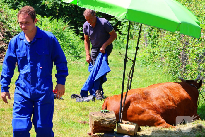 Dierenredding trekt veel bekijks op natuurboerderij