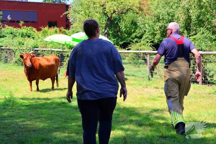 Dierenredding trekt veel bekijks op natuurboerderij