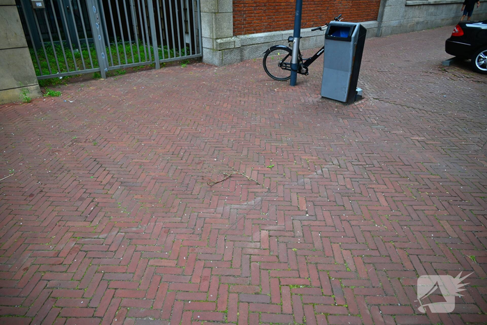 Glas waait uit glazen koepel