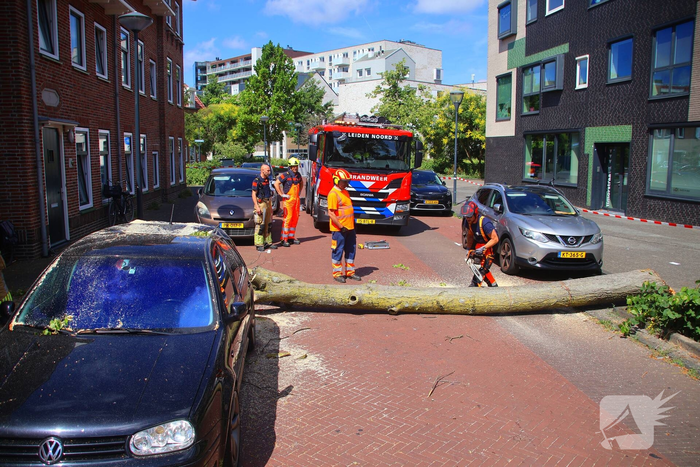 Verrotte boom valt op auto en tegen woning