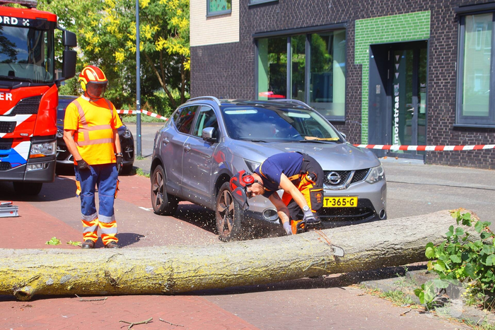 Verrotte boom valt op auto en tegen woning