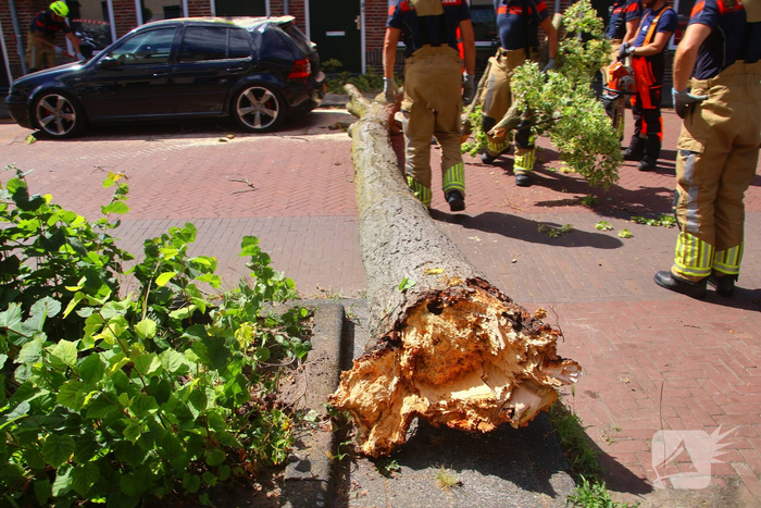 Verrotte boom valt op auto en tegen woning