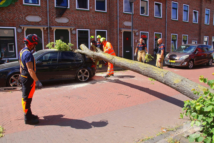 Verrotte boom valt op auto en tegen woning