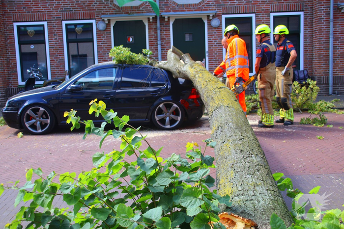 Verrotte boom valt op auto en tegen woning