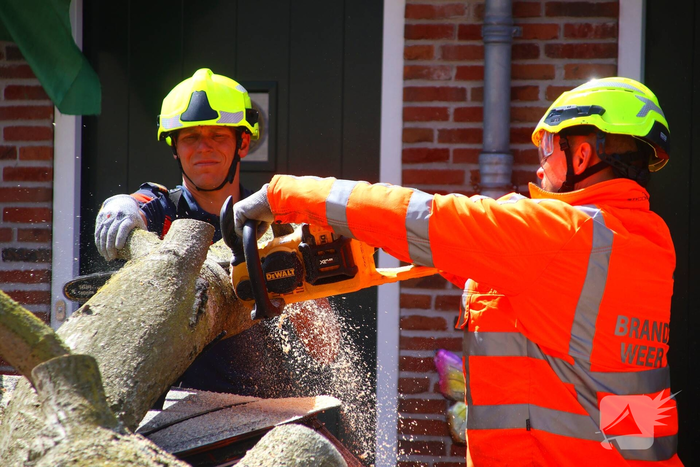 Verrotte boom valt op auto en tegen woning
