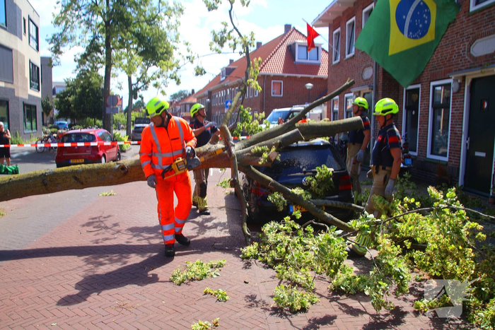 Verrotte boom valt op auto en tegen woning