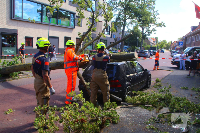 Verrotte boom valt op auto en tegen woning
