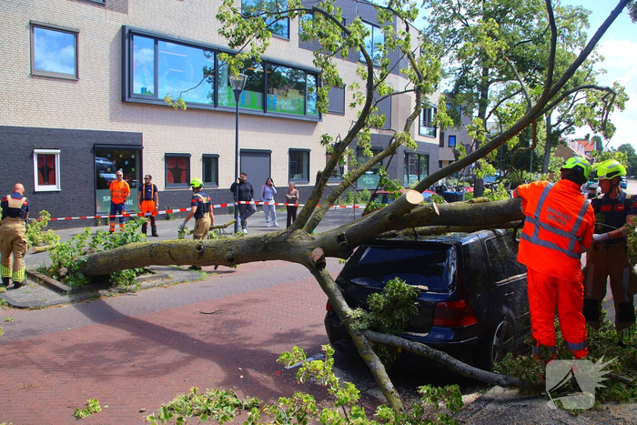 Verrotte boom valt op auto en tegen woning