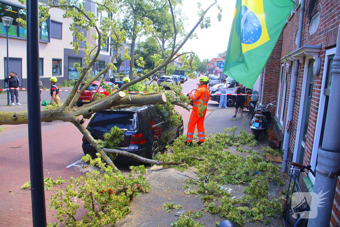 Verrotte boom valt op auto en tegen woning