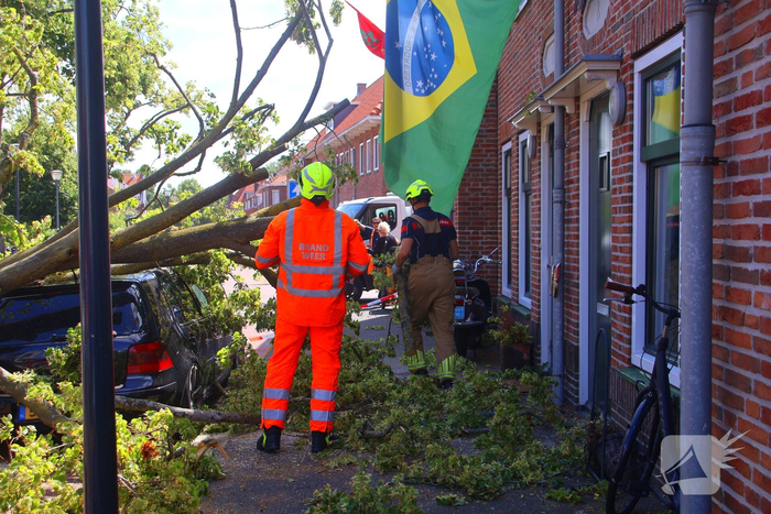 Verrotte boom valt op auto en tegen woning