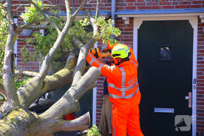 Verrotte boom valt op auto en tegen woning