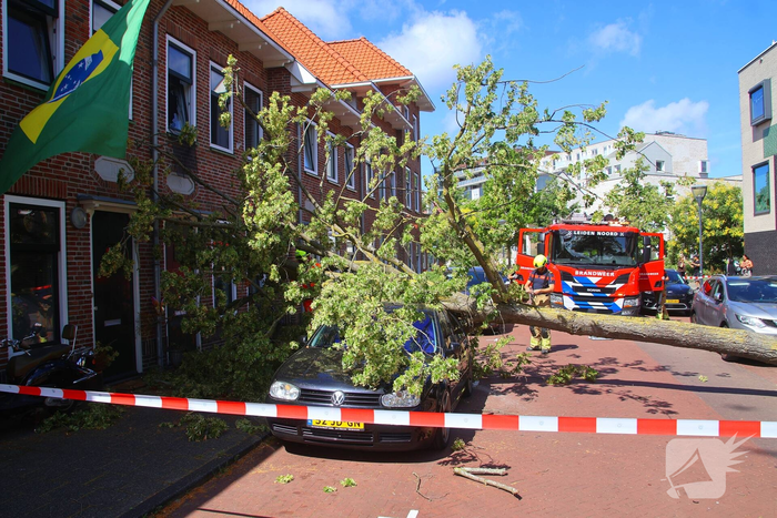 Verrotte boom valt op auto en tegen woning