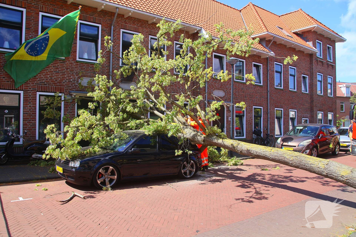 Verrotte boom valt op auto en tegen woning