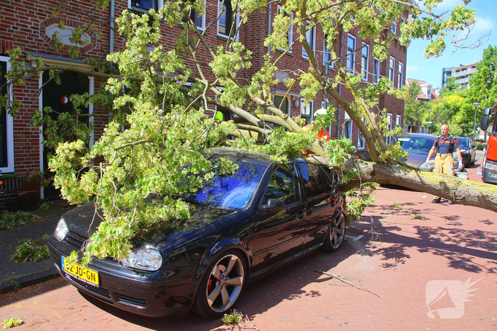 Verrotte boom valt op auto en tegen woning