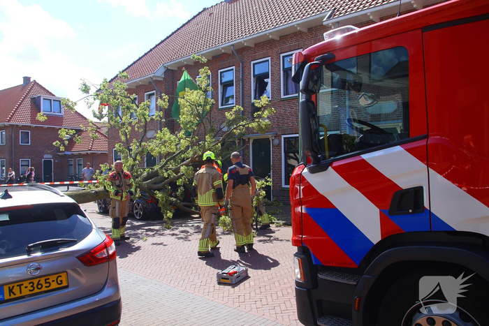 Verrotte boom valt op auto en tegen woning