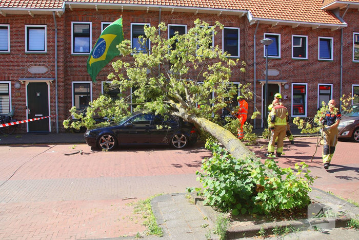 Verrotte boom valt op auto en tegen woning
