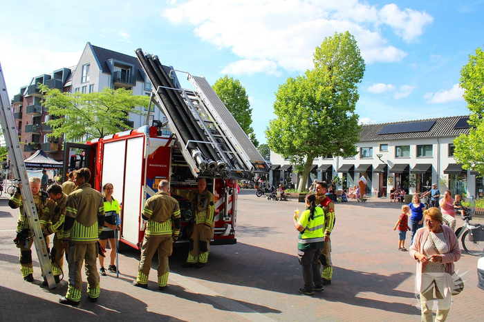 Brandweer redt vogel uit benarde positie
