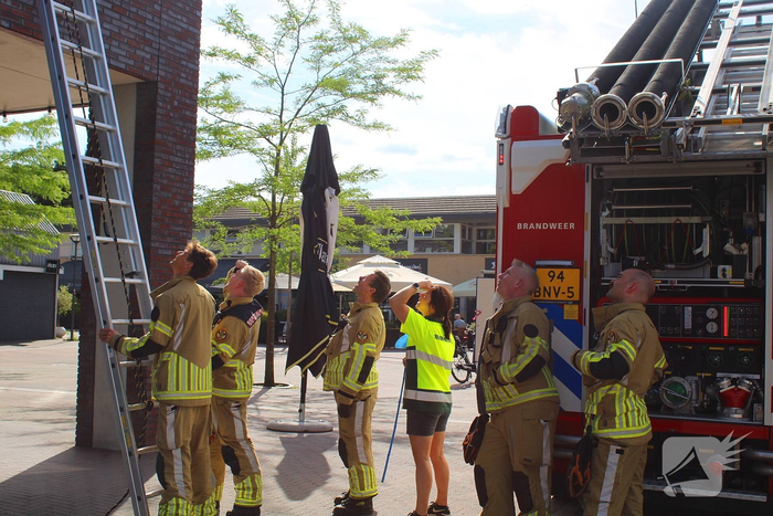 Brandweer redt vogel uit benarde positie