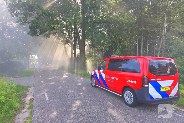brand de heikant sprundel