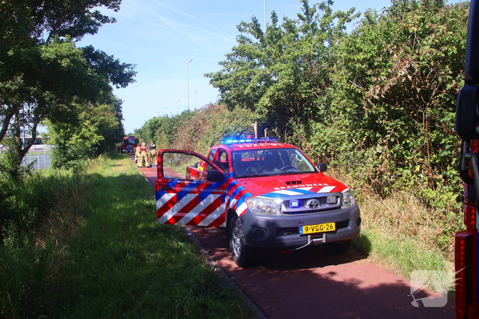 Brand verwoest bosschages