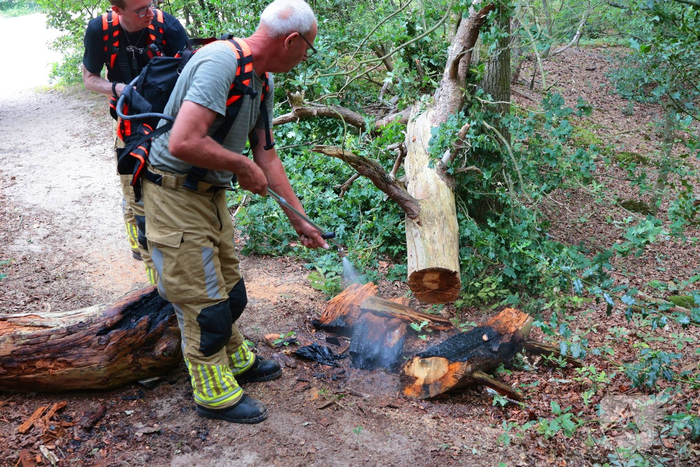 Brand in bosgebied zorgt voor snelle inzet brandweer