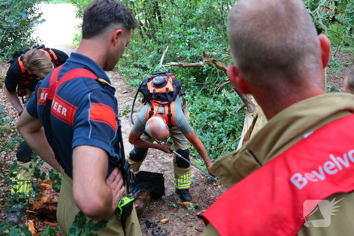 Brand in bosgebied zorgt voor snelle inzet brandweer