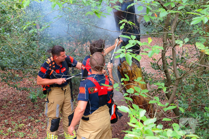 Brand in bosgebied zorgt voor snelle inzet brandweer