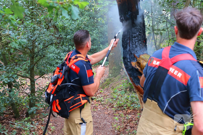 Brand in bosgebied zorgt voor snelle inzet brandweer