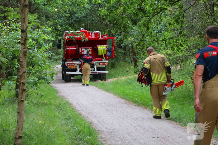 Brand in bosgebied zorgt voor snelle inzet brandweer