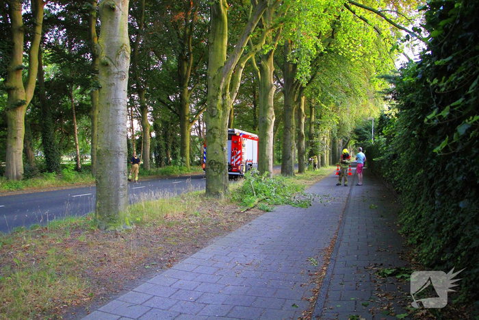 Gevaarlijke tak valt uit boom en raakt fietspad