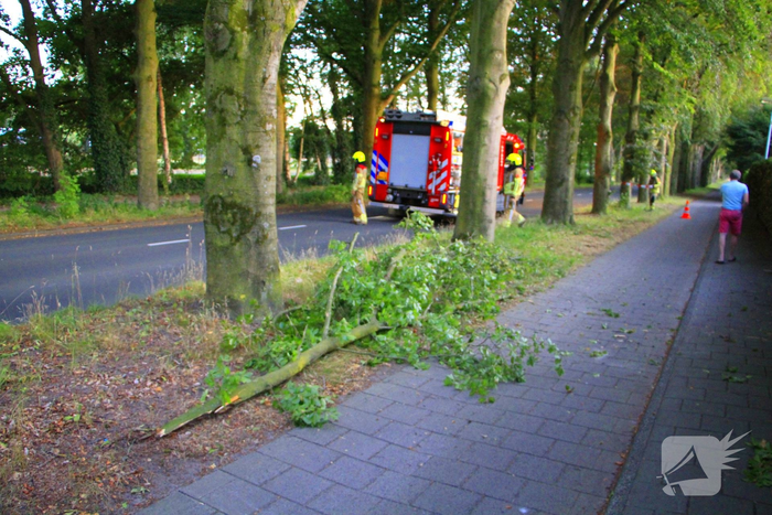 Gevaarlijke tak valt uit boom en raakt fietspad