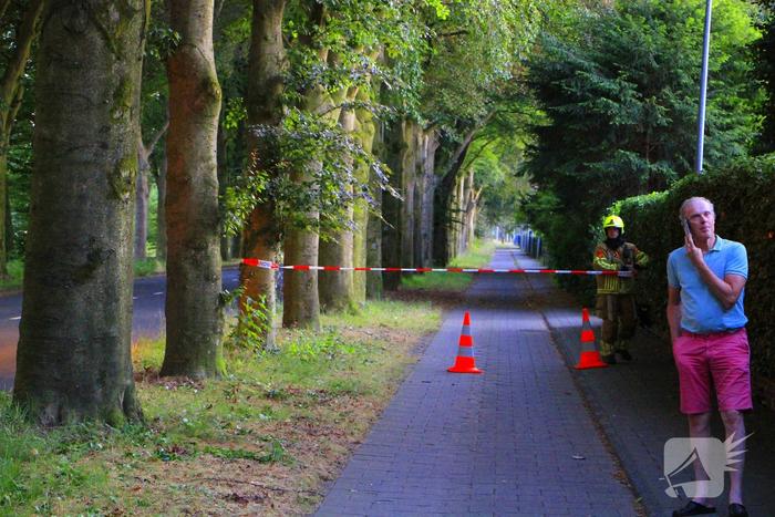 Gevaarlijke tak valt uit boom en raakt fietspad