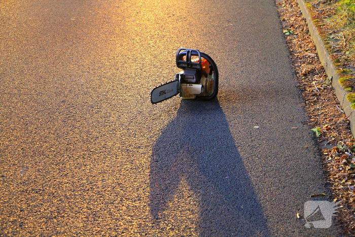 Gevaarlijke tak valt uit boom en raakt fietspad