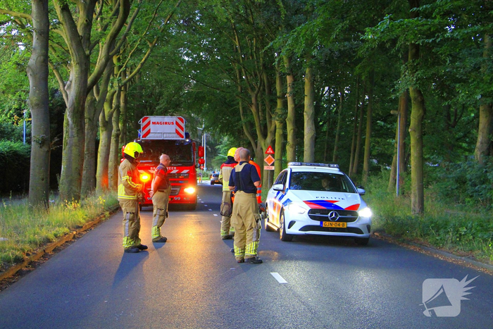 Gevaarlijke tak valt uit boom en raakt fietspad