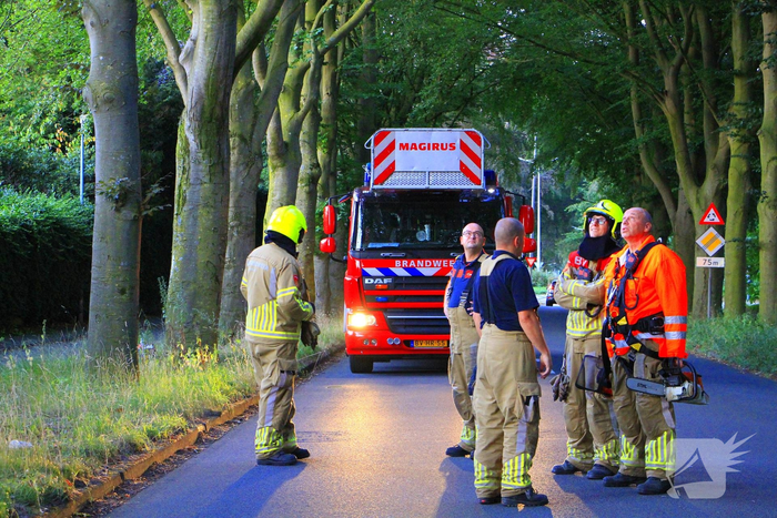 Gevaarlijke tak valt uit boom en raakt fietspad