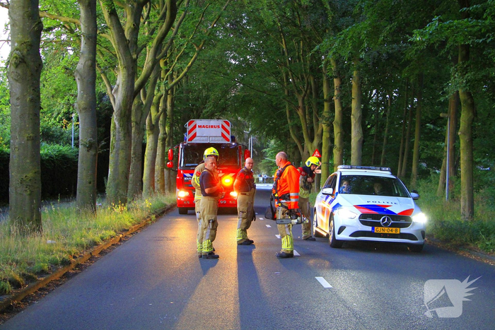 Gevaarlijke tak valt uit boom en raakt fietspad