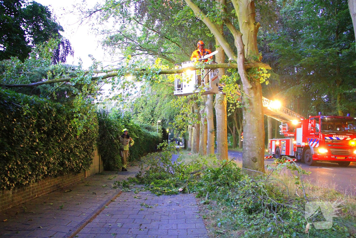 Gevaarlijke tak valt uit boom en raakt fietspad