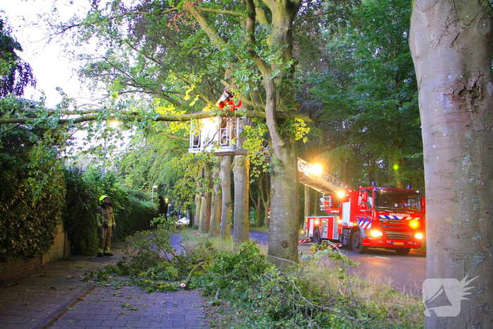 Gevaarlijke tak valt uit boom en raakt fietspad