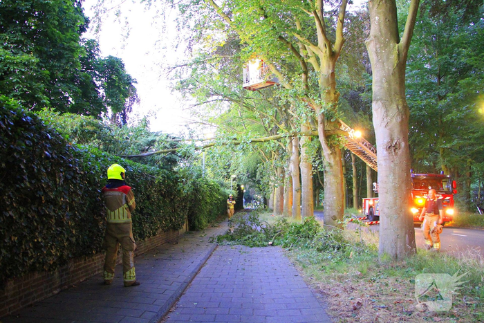 Gevaarlijke tak valt uit boom en raakt fietspad