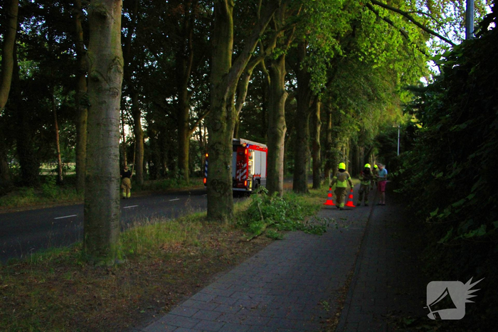 Gevaarlijke tak valt uit boom en raakt fietspad
