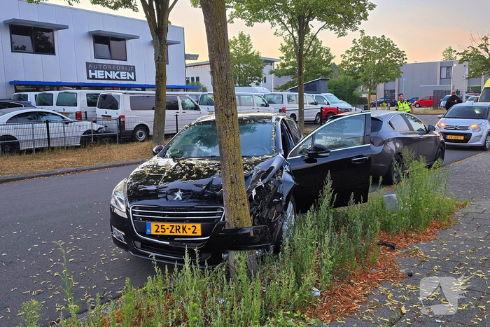 Auto botst tegen boom