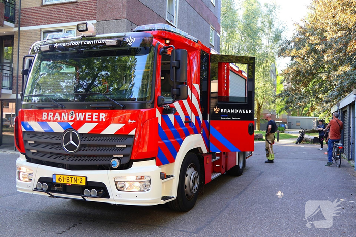 Brandweer dooft brand in bosschages