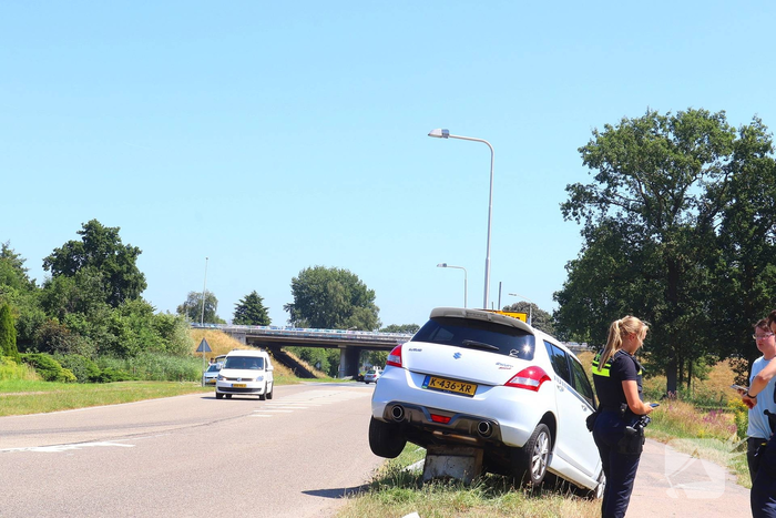 Auto belandt op varkensrug