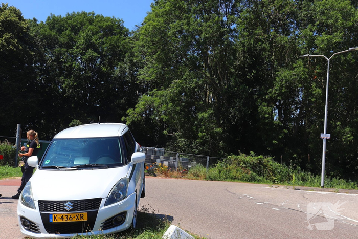 Auto belandt op varkensrug