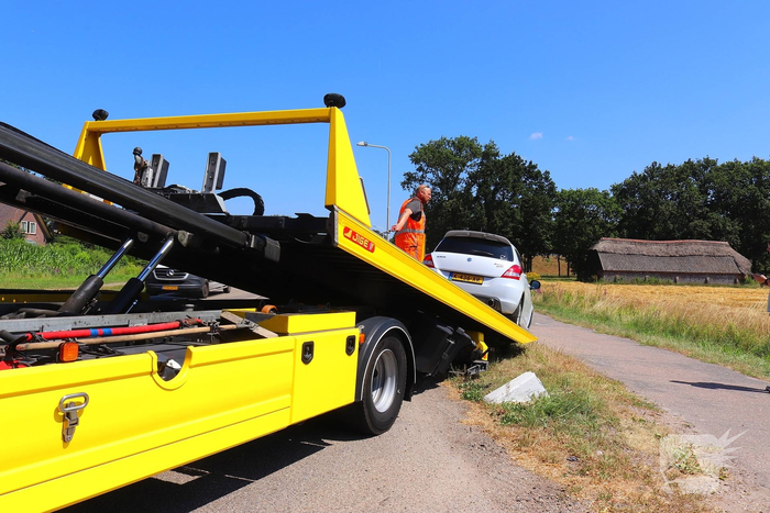 Auto belandt op varkensrug
