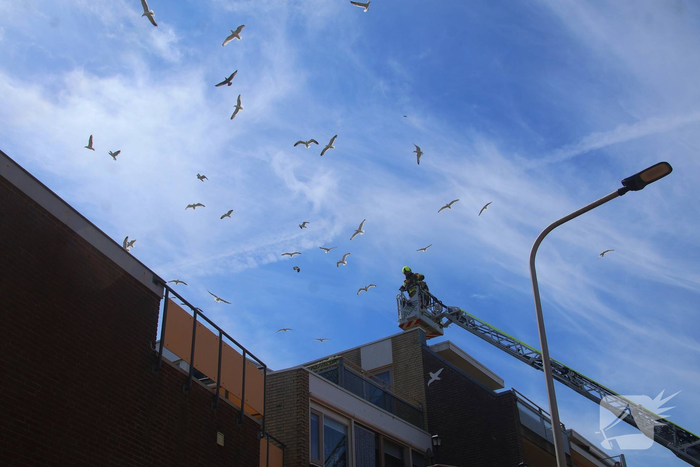 nieuws tramstraat katwijk