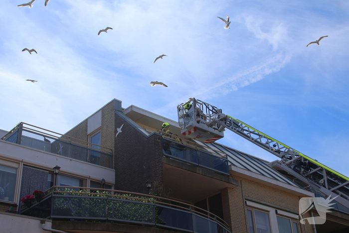 Jonge meeuw door brandweer van balkon gered