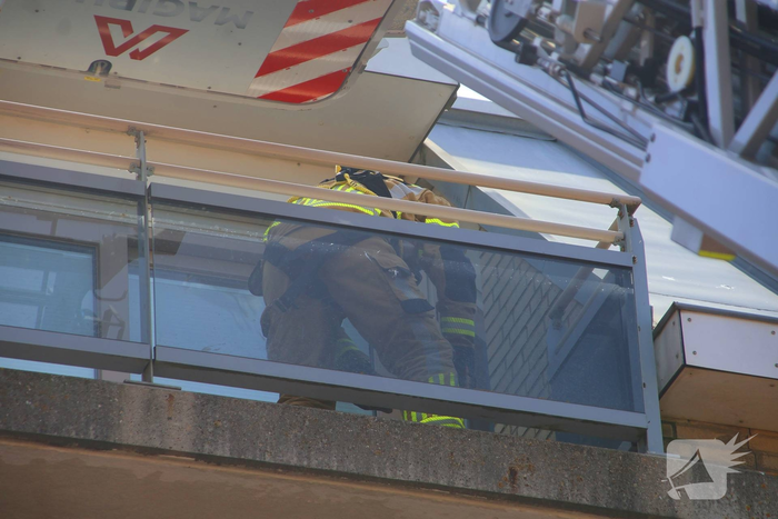 Jonge meeuw door brandweer van balkon gered
