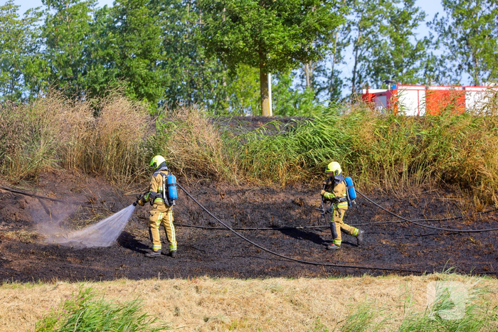 Brand in havengebied verwoest berm en bos